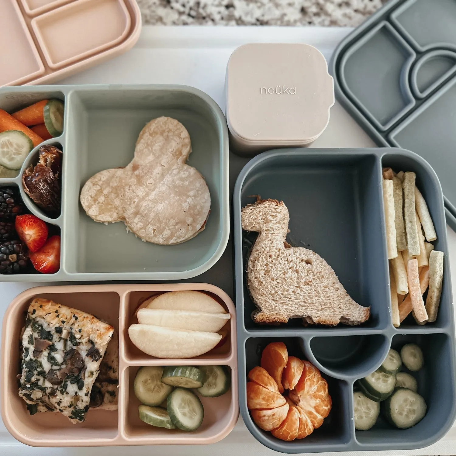 noüka Medium Silicone Sealed Lunch Box - Fern